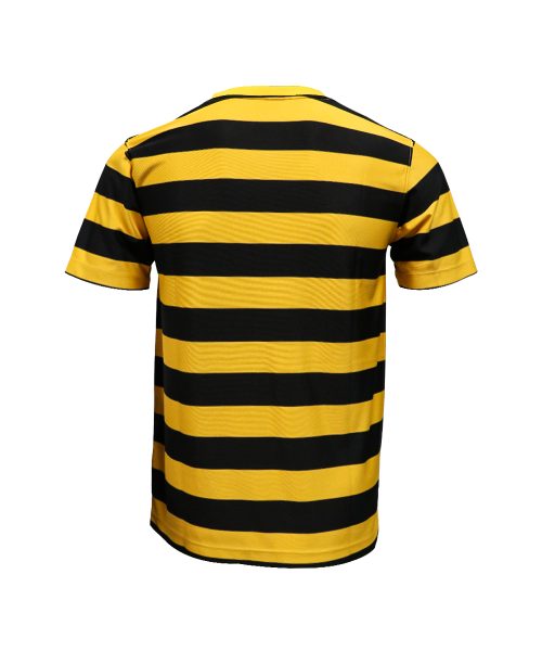 Alternative view of RETRO - JERSEY BGPU LITTLE BEE 2024/25