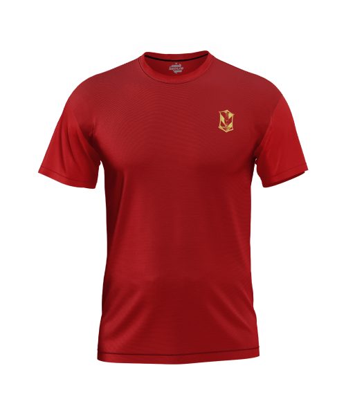 เสื้อตรุษจีน BGPU CHINESE NEW YEAR 2025
