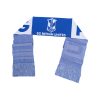 ผ้าพันคอ BG PATHUM UNITED SCARF 2025/26 - Image 3