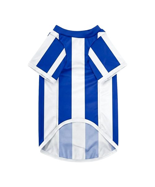 Alternative view of เสื้อแข่ง PET JERSEY BGPU 2026/27 (น้ำเงิน-ขาว)